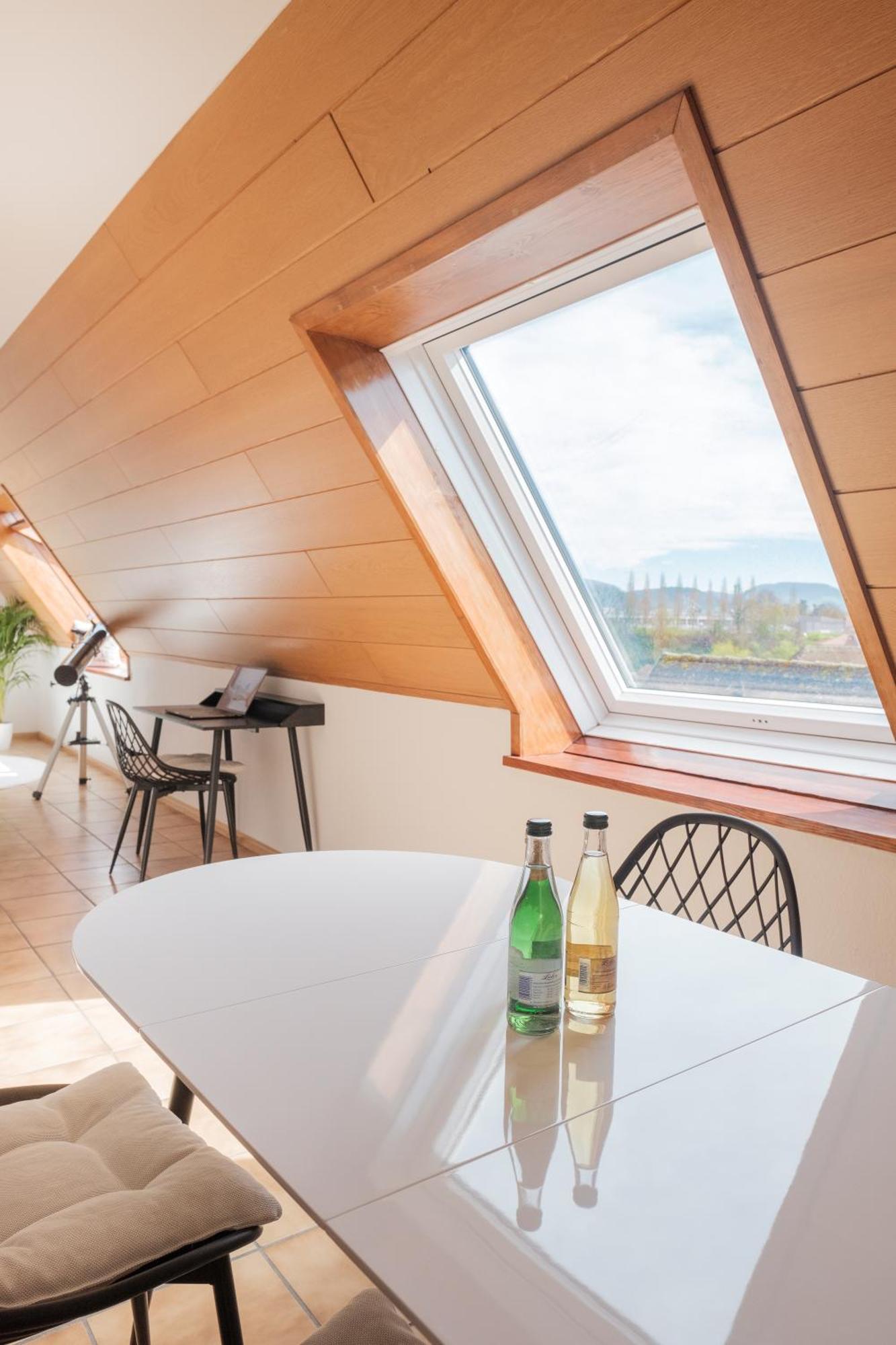 Neu Deluxe Suite Muensterblick, Maisonette, Kingsize Bett, Kueche, Netflix, Aussicht, E-Kamin Bad Säckingen Dış mekan fotoğraf