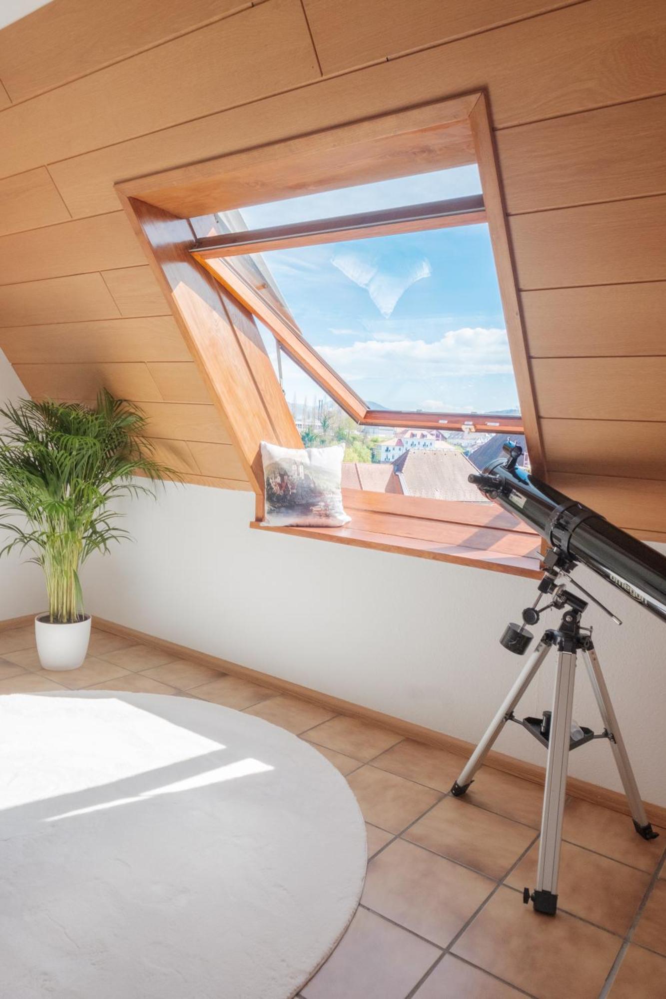 Neu Deluxe Suite Muensterblick, Maisonette, Kingsize Bett, Kueche, Netflix, Aussicht, E-Kamin Bad Säckingen Dış mekan fotoğraf